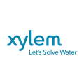 xylem